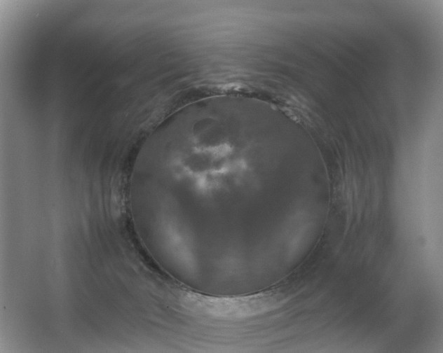 X0000067460030200604142336