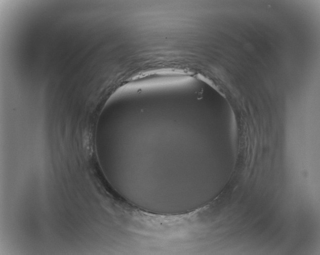 X0000067460031200604142336