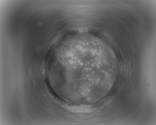 X0000067460032200604142336