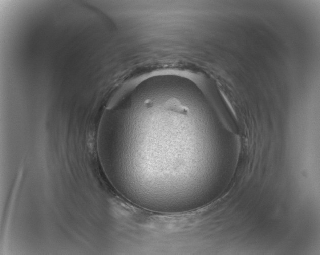 X0000067460033200604142336