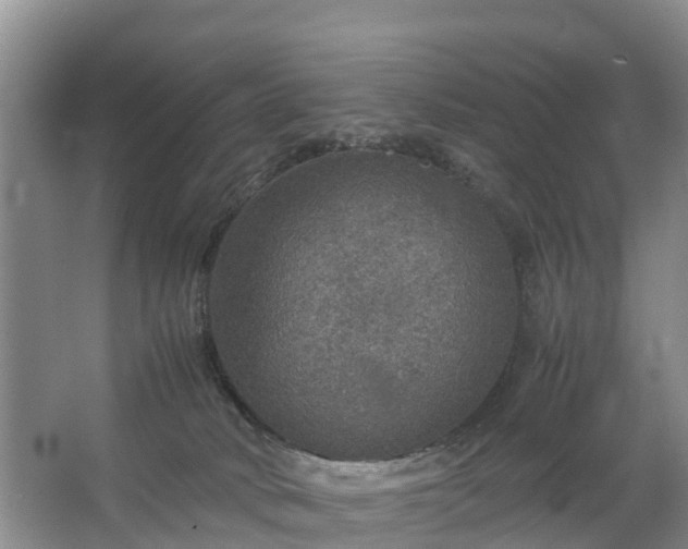 X0000067460034200604142336