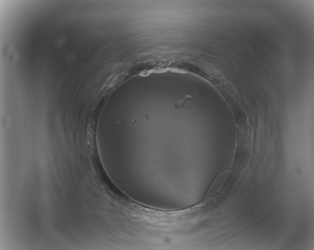 X0000067460035200604142336