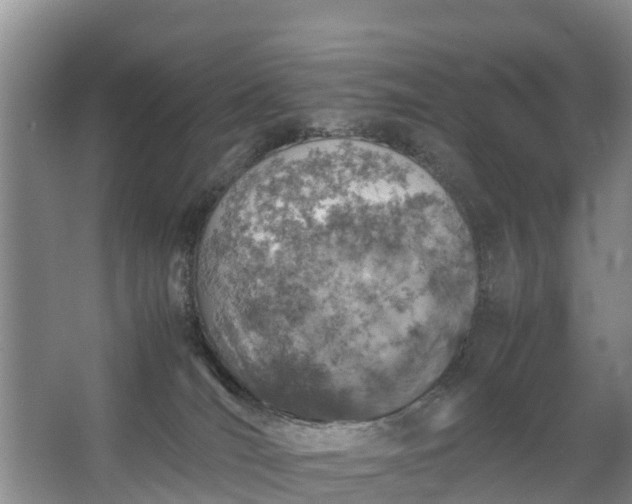 X0000067460036200604142336