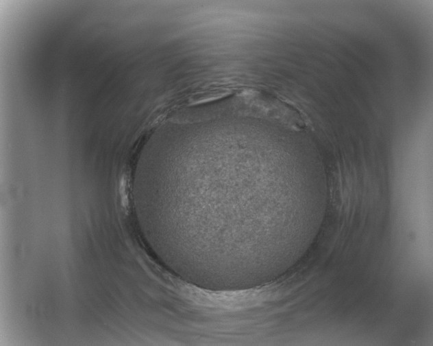 X0000067460038200604142336