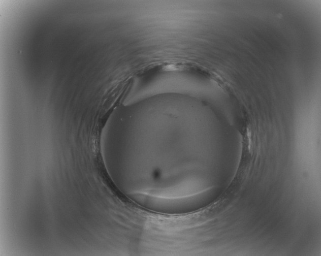 X0000067460039200604142336