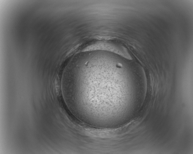 X0000067460040200604142336