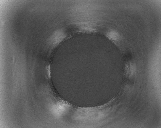 X0000067460041200604142336