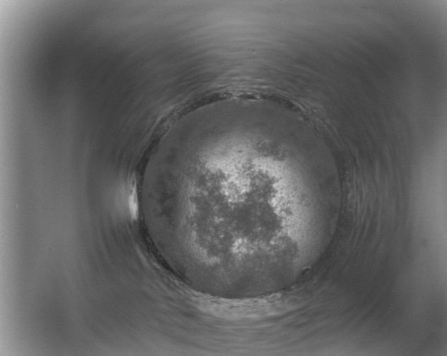 X0000067460042200604142336