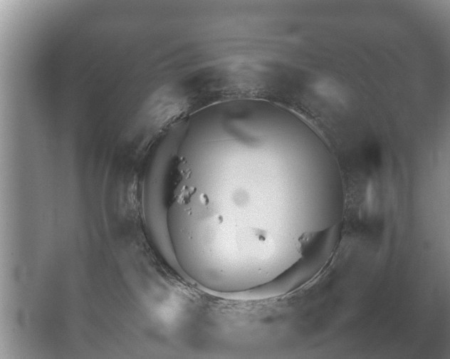 X0000067460045200604142336