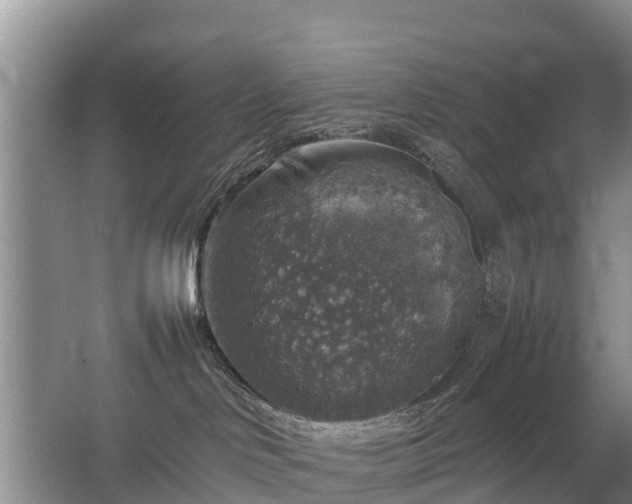 X0000067460046200604142336