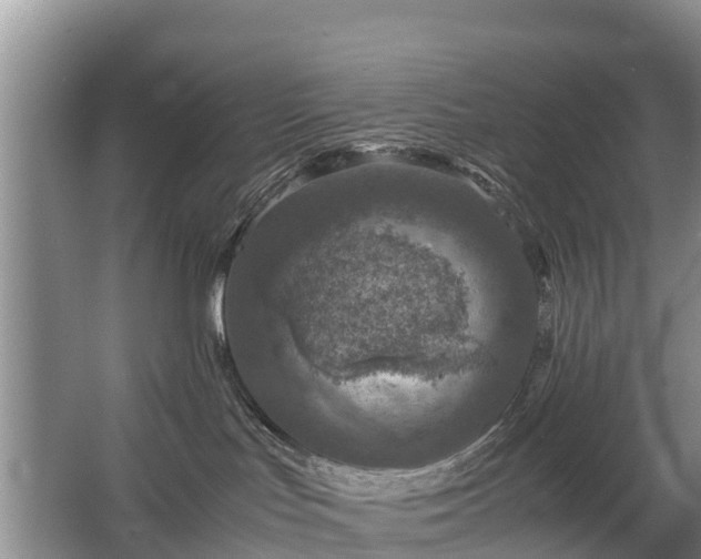 X0000067460047200604142336