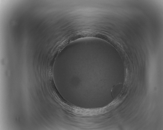 X0000067460048200604142336