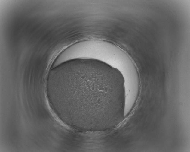 X0000067460049200604142335