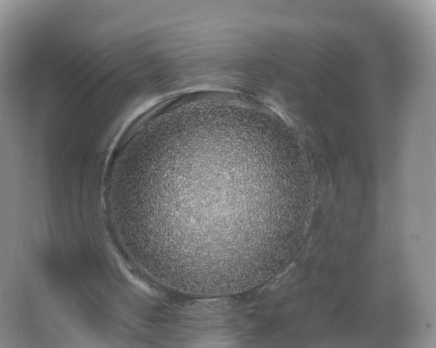 X0000067460050200604142335