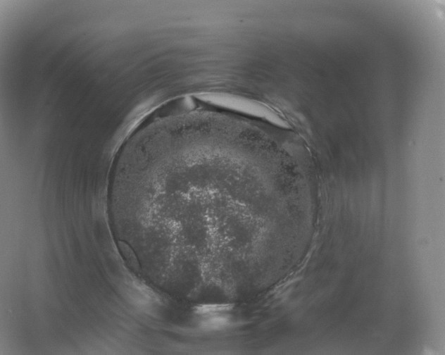 X0000067460051200604142335