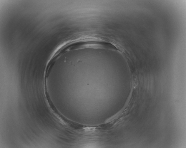 X0000067460052200604142335