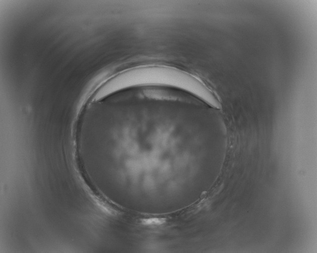 X0000067460053200604142335