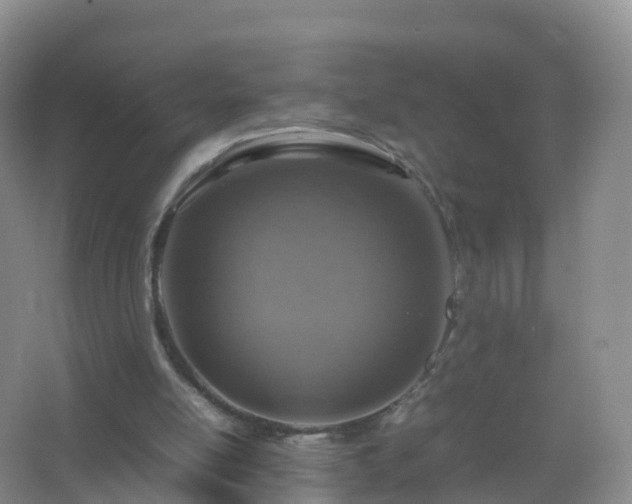 X0000067460054200604142335