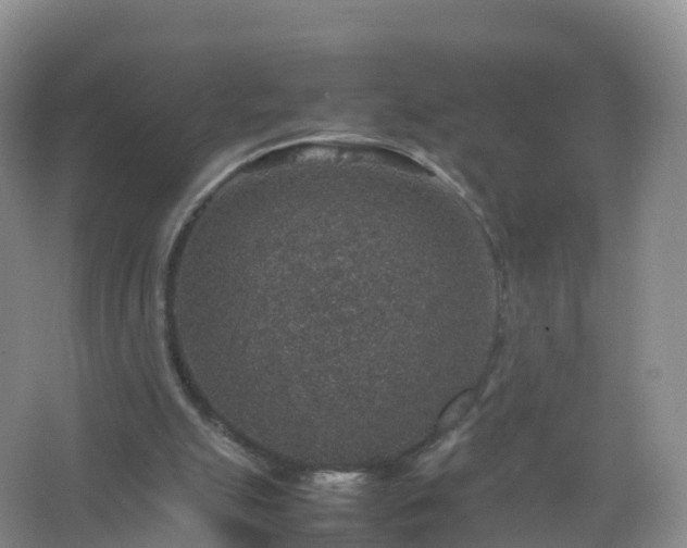 X0000067460055200604142335