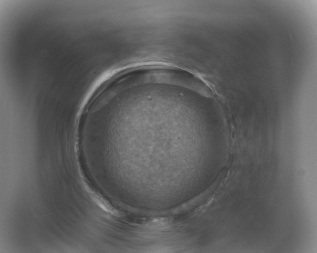 X0000067460056200604142335