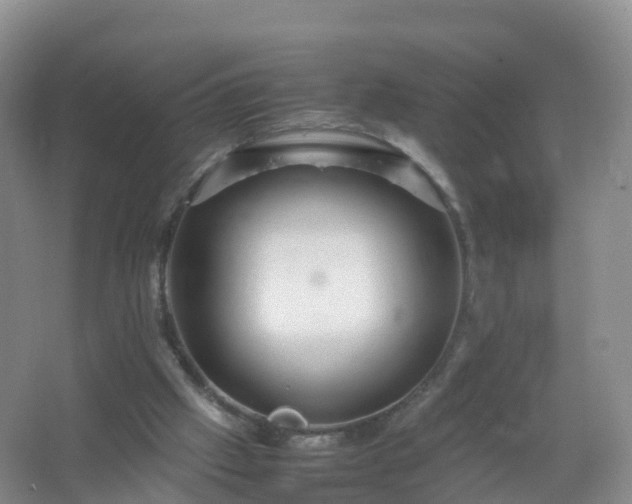 X0000067460057200604142335