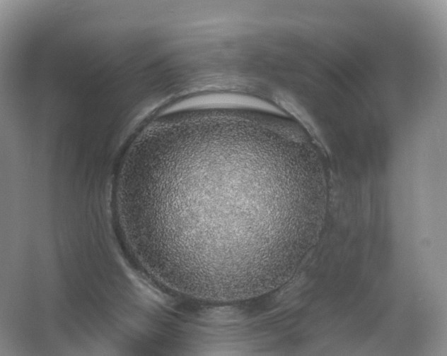 X0000067460058200604142335