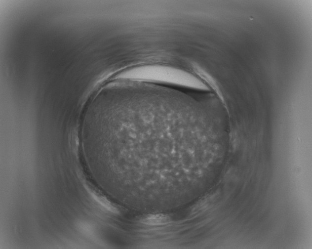 X0000067460059200604142335