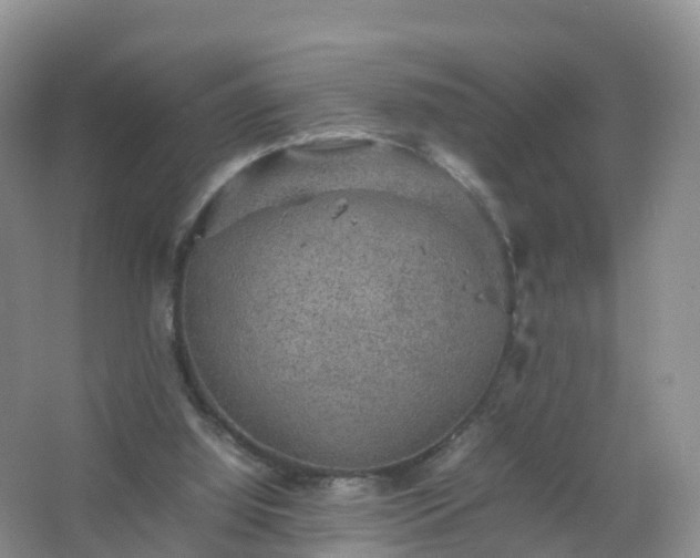 X0000067460060200604142335