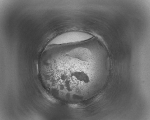 X0000067460061200604142335