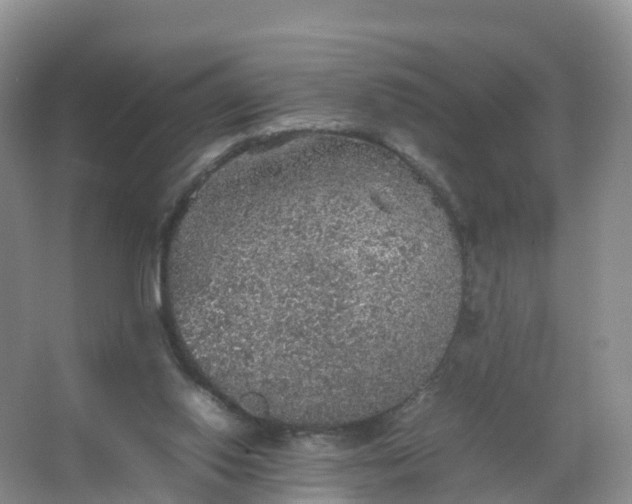 X0000067460062200604142335