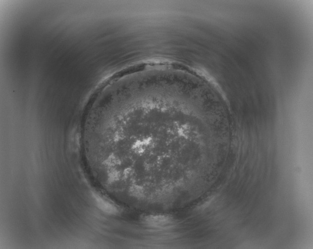 X0000067460063200604142335