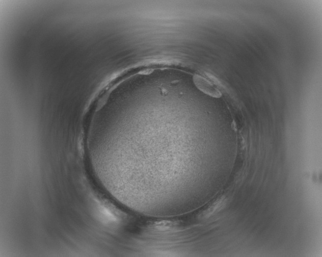 X0000067460064200604142335