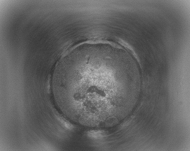 X0000067460065200604142335