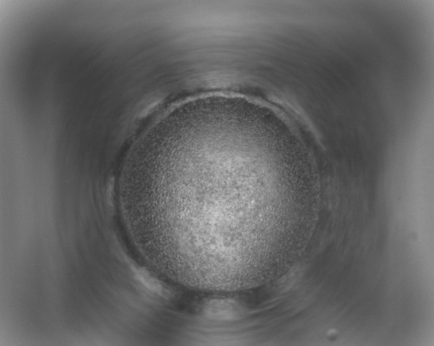 X0000067460066200604142335