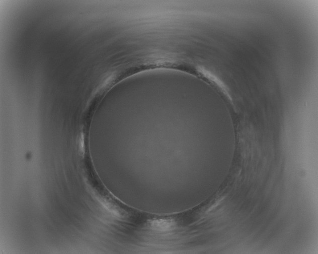 X0000067460067200604142335