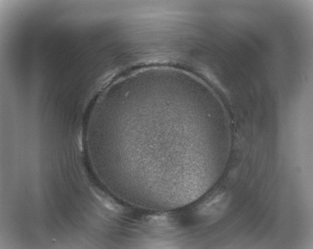 X0000067460068200604142335