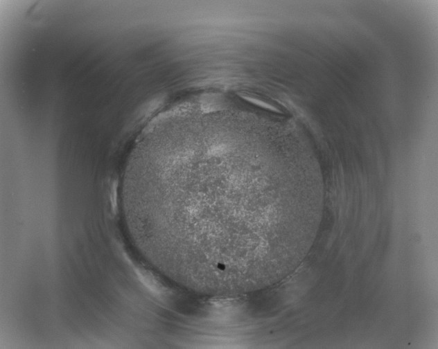 X0000067460070200604142335