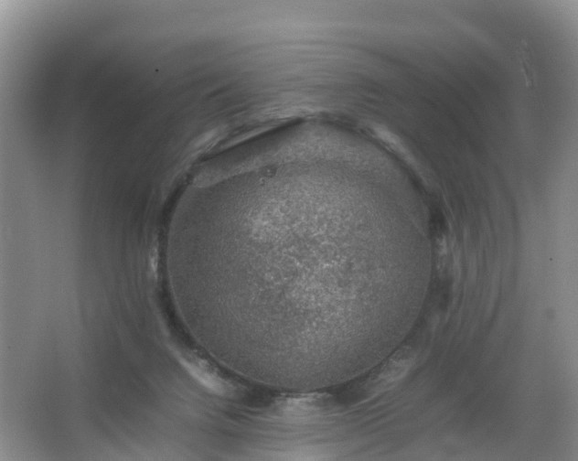 X0000067460072200604142335