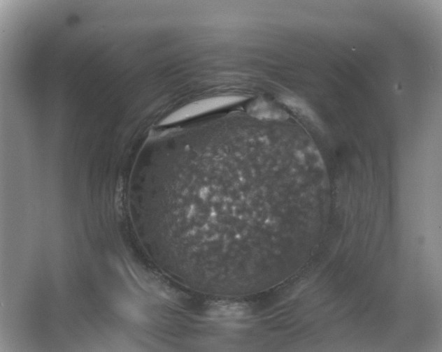 X0000067460073200604142335