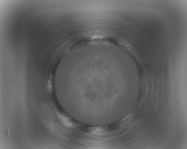 X0000067460074200604142335