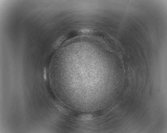 X0000067460075200604142335