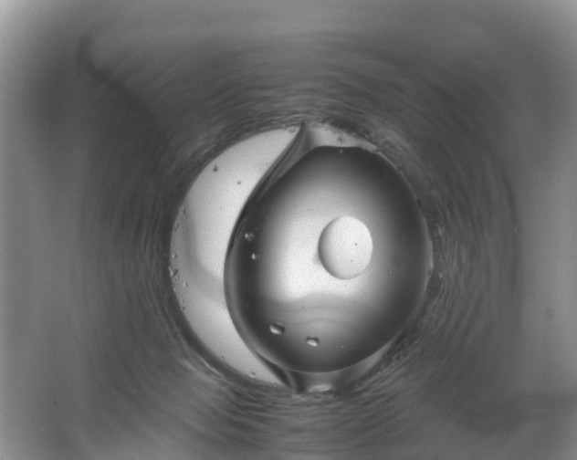 X0000067460077200604142335