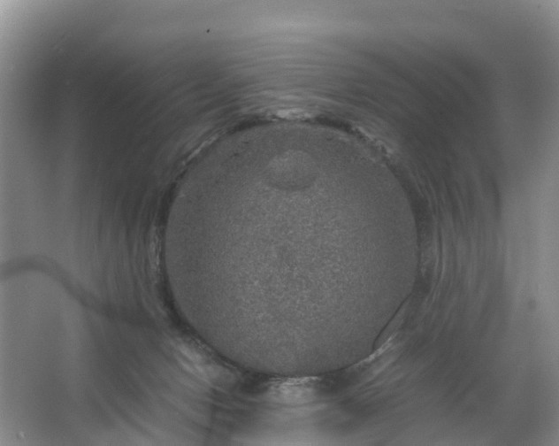 X0000067460078200604142335