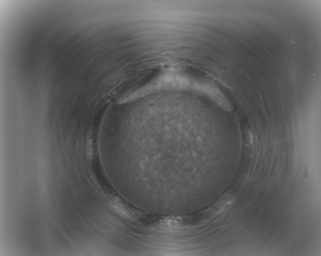 X0000067460080200604142335