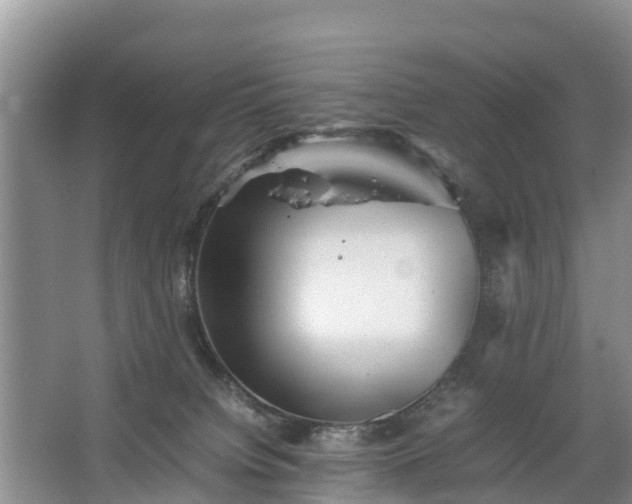 X0000067460084200604142335