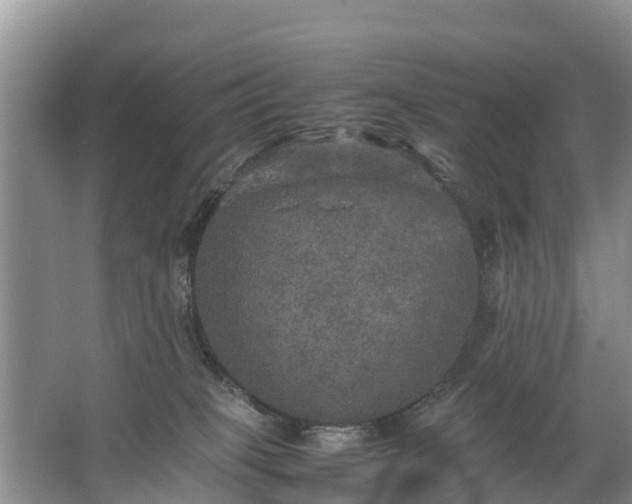 X0000067460085200604142335