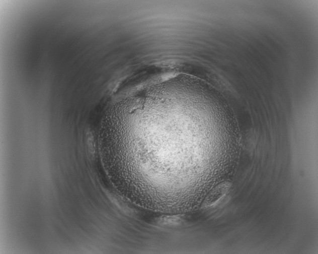 X0000067460086200604142335