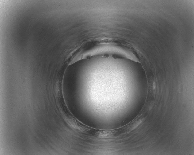 X0000067460088200604142336