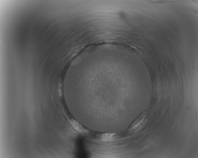 X0000067460090200604142336