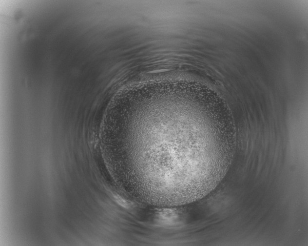 X0000067460091200604142336